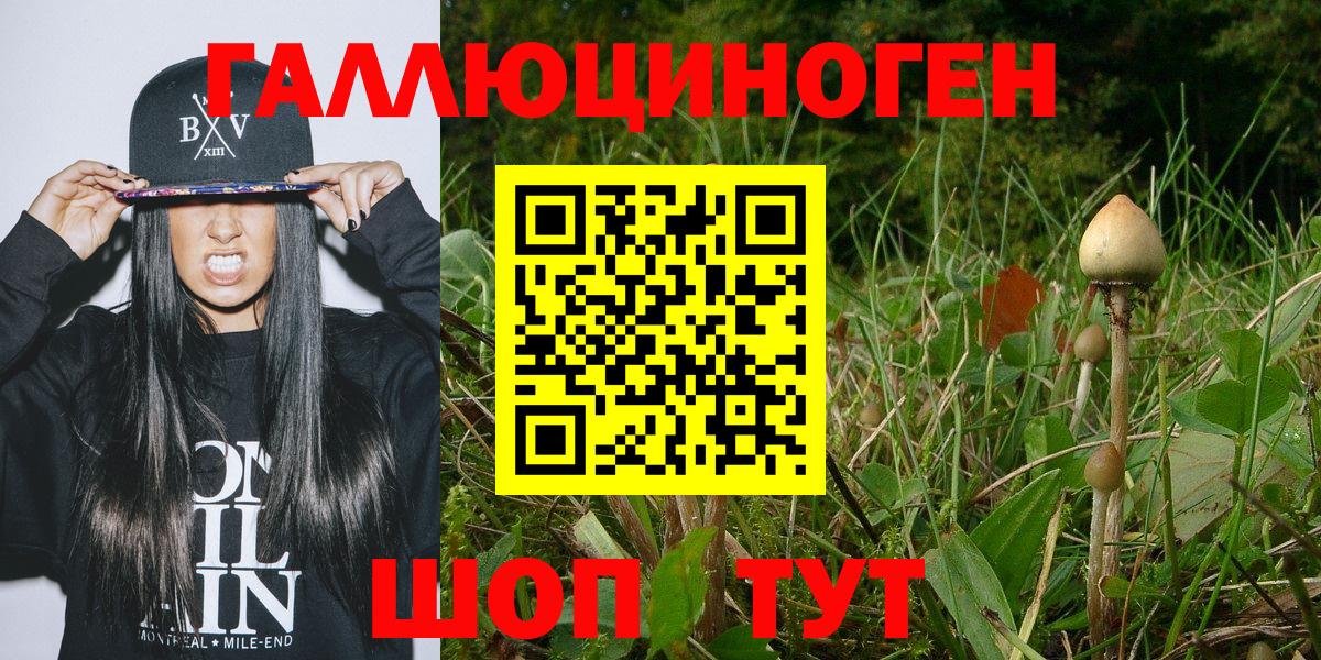 Псилоцибиновые грибы Psilocybine cubensis Туапсе